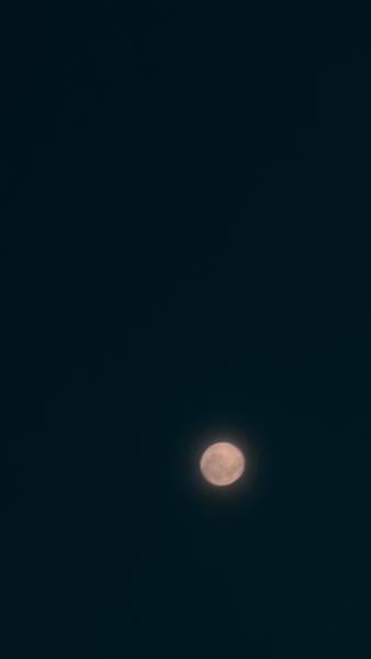 A striking full moon glows softly against a deep, dark night sky, captured at 't Jannendorp, Leusden